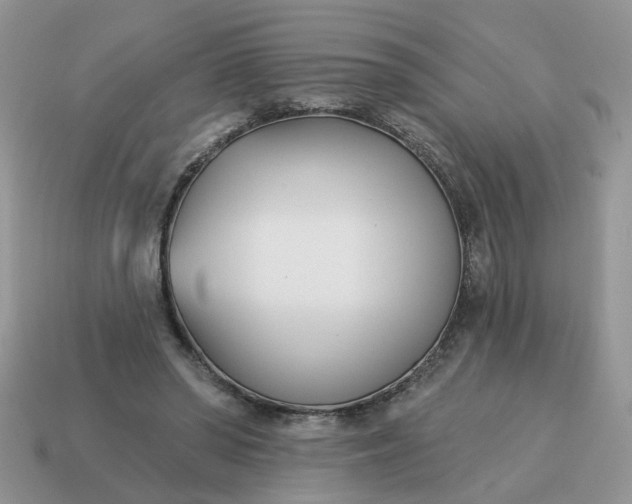 X0000115050398200911091429