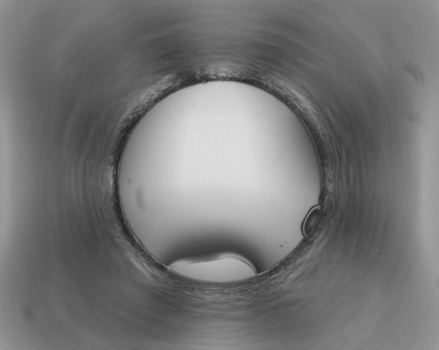 X0000115050401200911091429