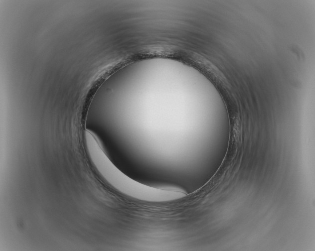 X0000115050403200911091429