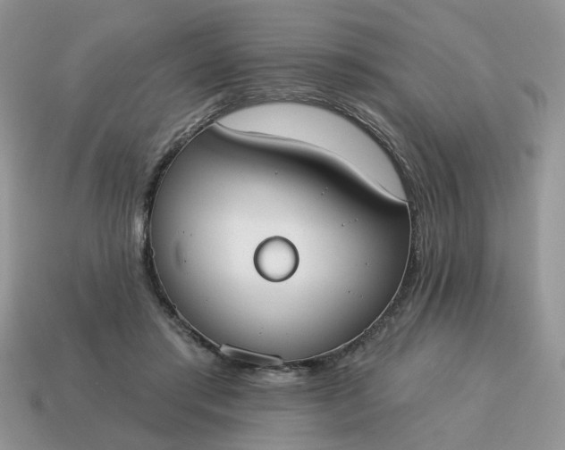X0000115050405200911091429