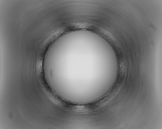 X0000115050406200911091429