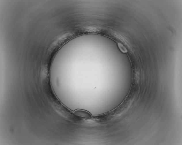 X0000115050407200911091429