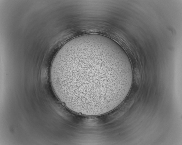 X0000115050410200911091429