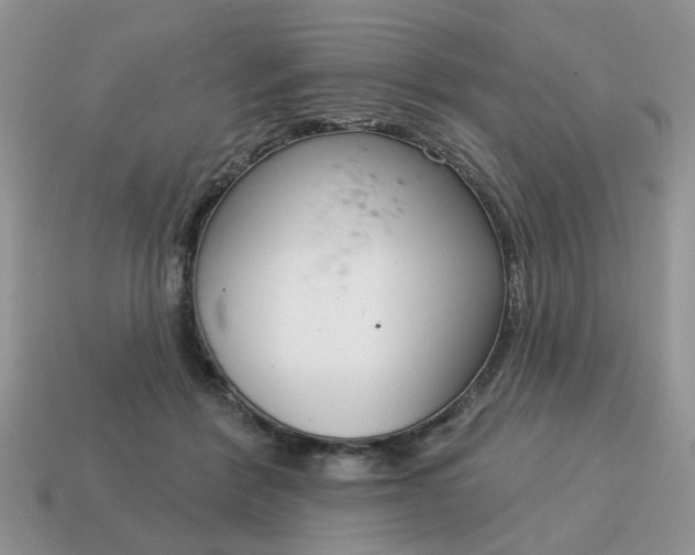 X0000115050412200911091429