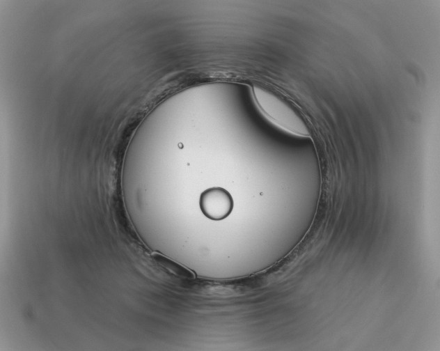 X0000115050413200911091429