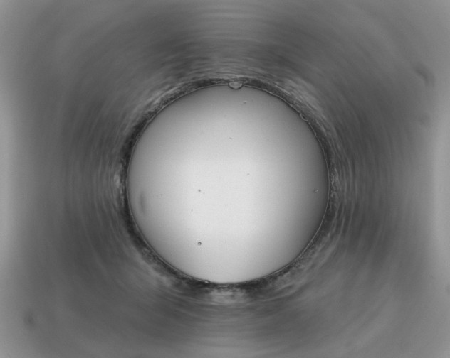 X0000115050415200911091429