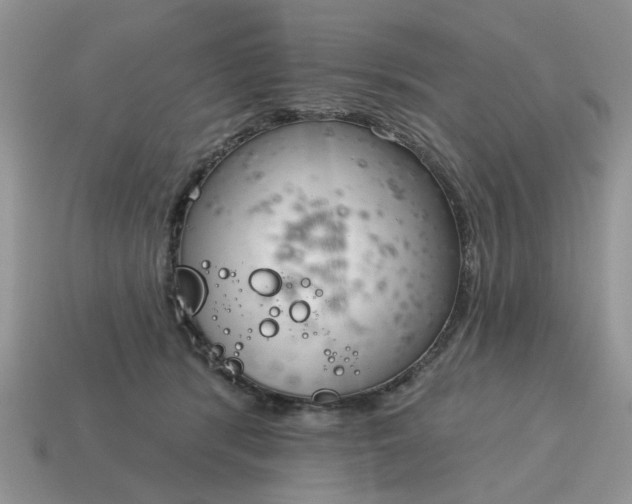 X0000115050416200911091429
