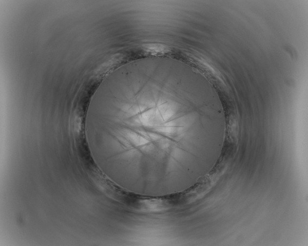 X0000115050417200911091429