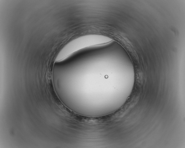 X0000115050419200911091429