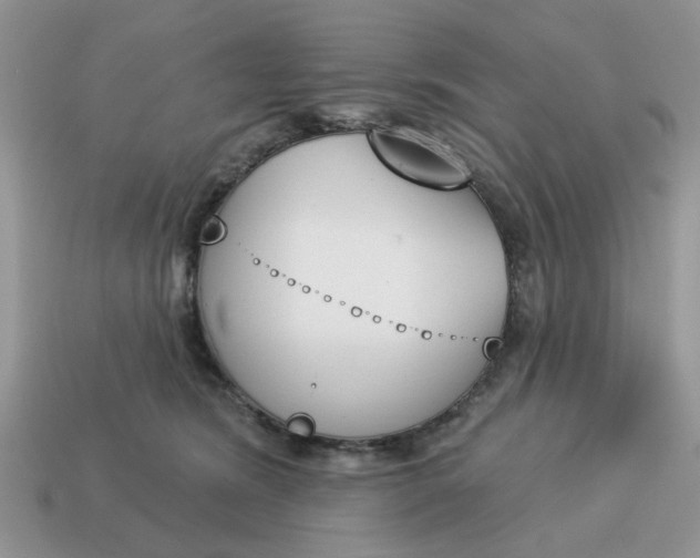 X0000115050420200911091429