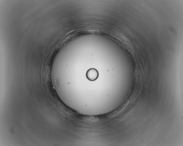X0000115050421200911091429