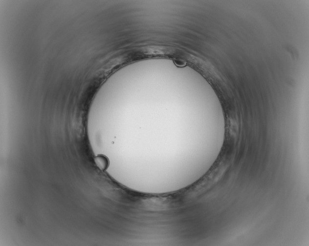 X0000115050422200911091429
