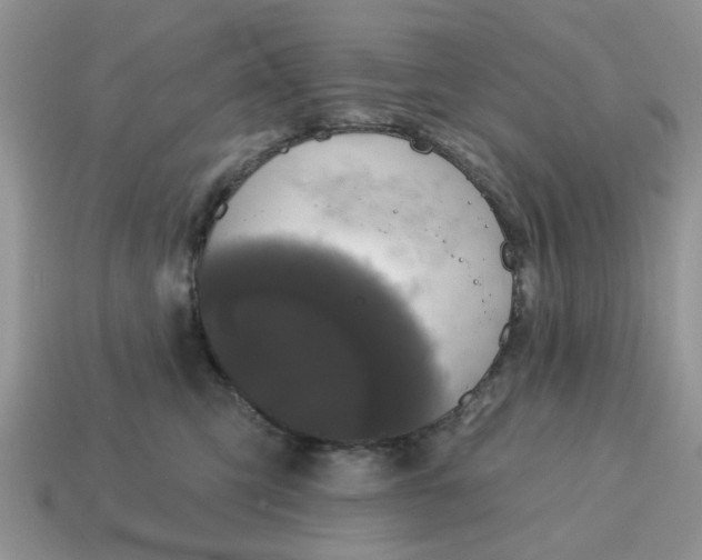 X0000115050423200911091429