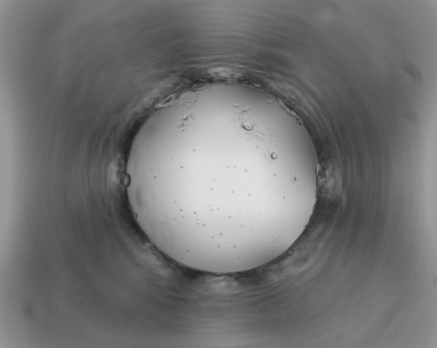 X0000115050424200911091429