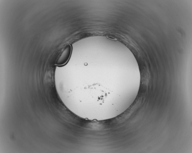 X0000115050425200911091429