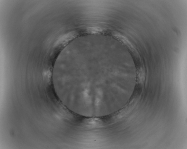 X0000115050427200911091429