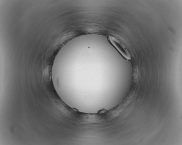 X0000115050428200911091429