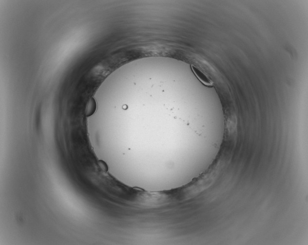 X0000115050429200911091429