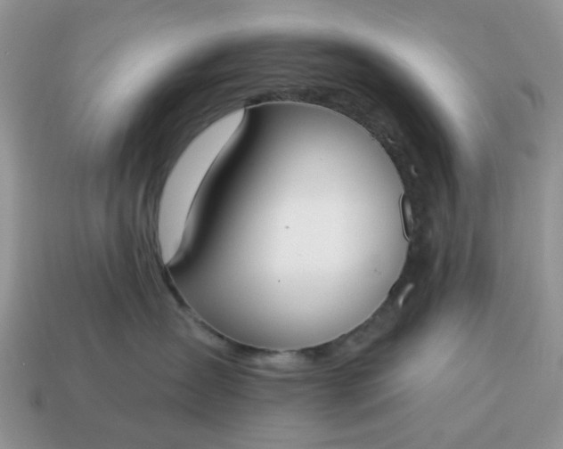 X0000115050431200911091429