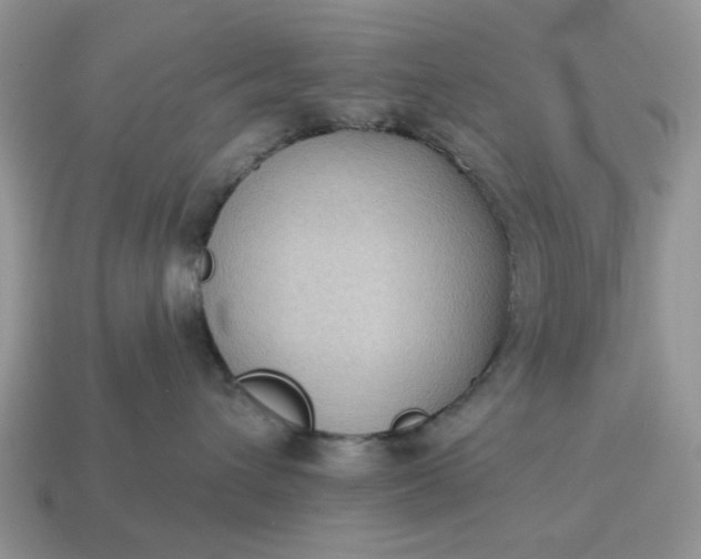 X0000115050432200911091429