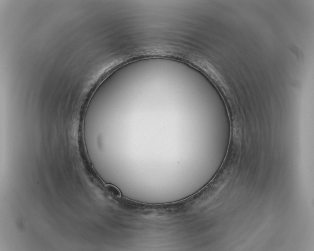 X0000115050434200911091428