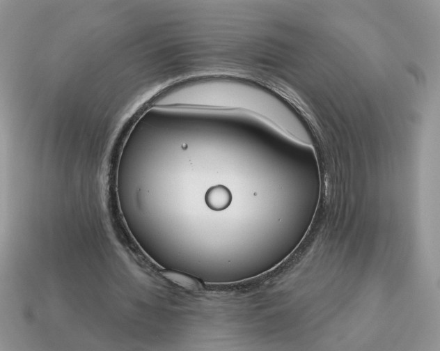 X0000115050436200911091428
