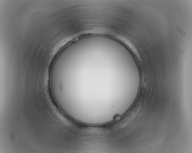 X0000115050437200911091428
