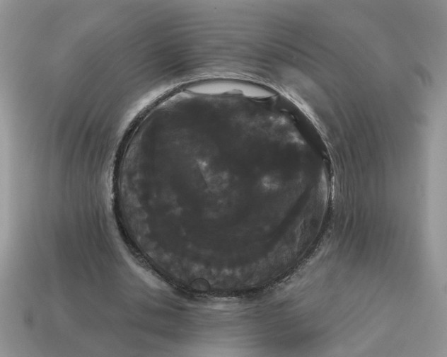 X0000115050438200911091428