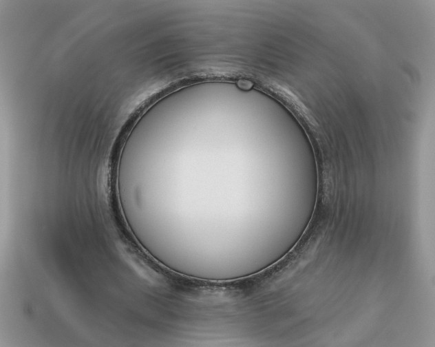 X0000115050439200911091428
