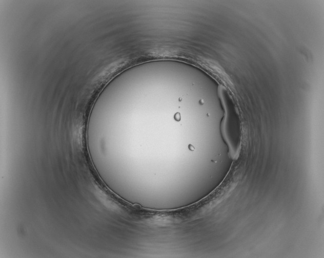 X0000115050441200911091428
