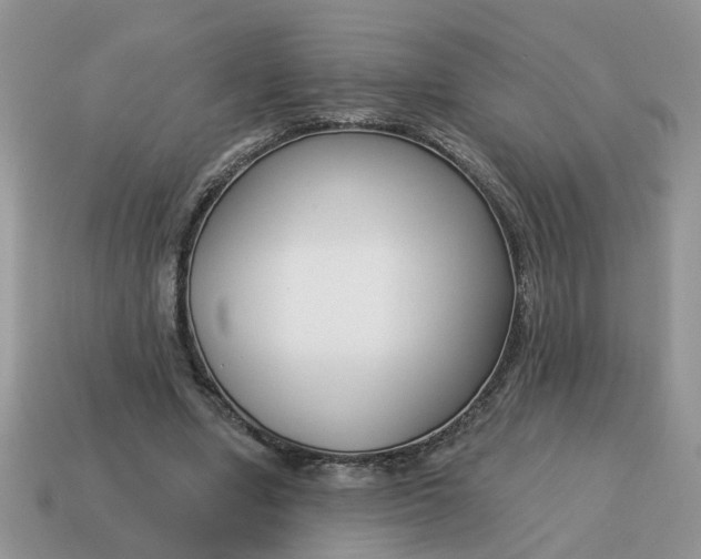 X0000115050442200911091428