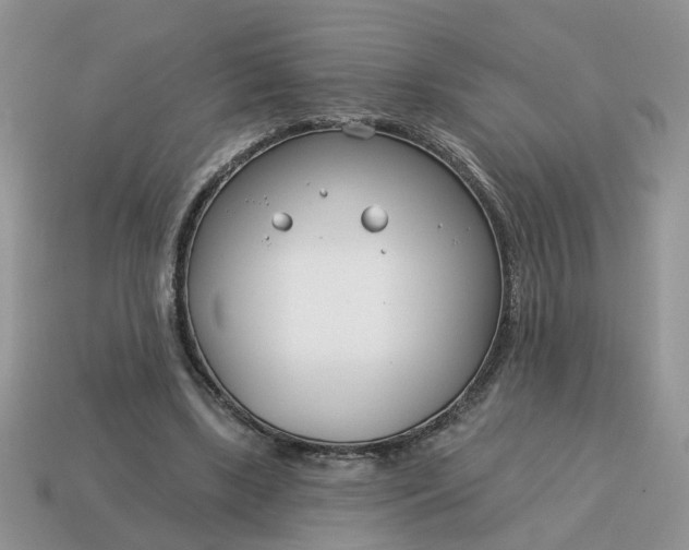 X0000115050443200911091428
