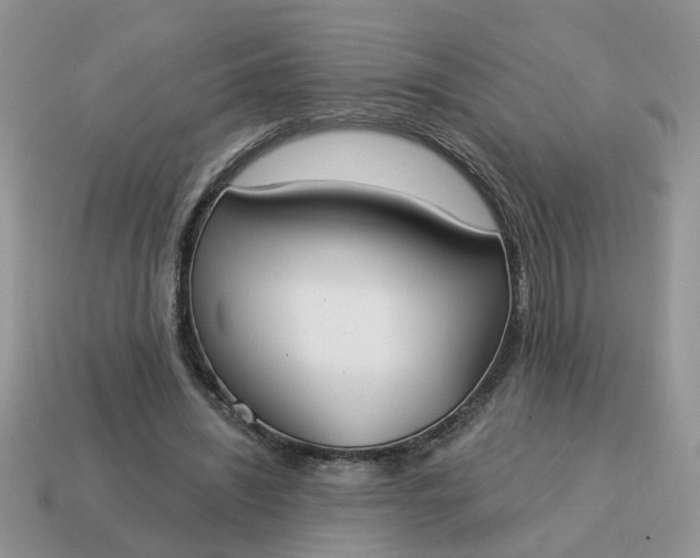 X0000115050444200911091428