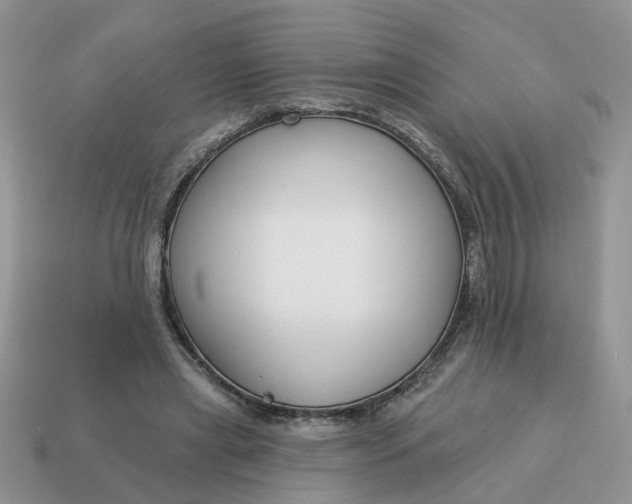 X0000115050445200911091428