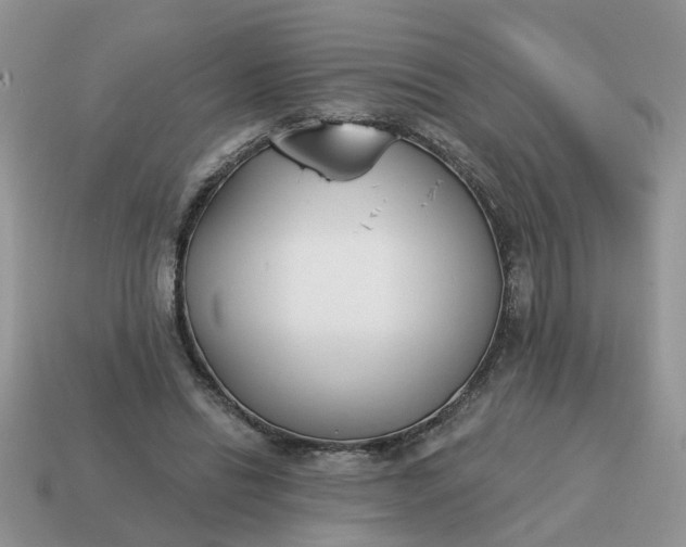 X0000115050446200911091428