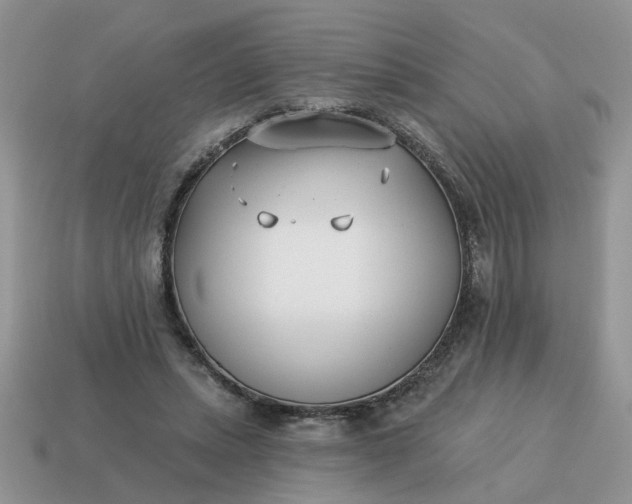 X0000115050447200911091428