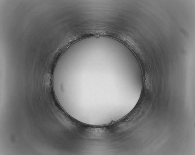 X0000115050449200911091428