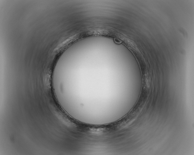 X0000115050450200911091428