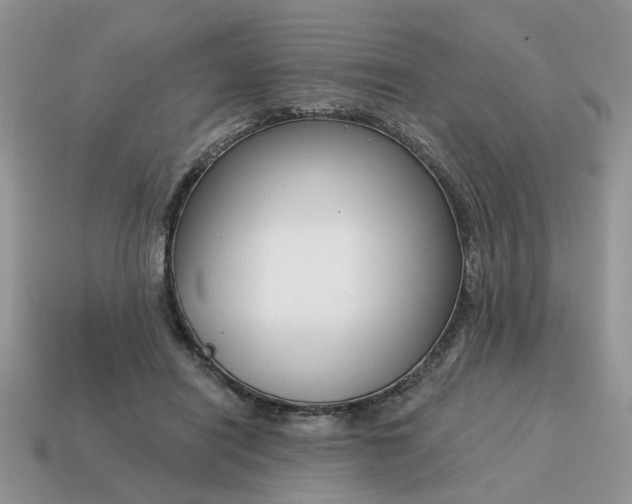 X0000115050454200911091429