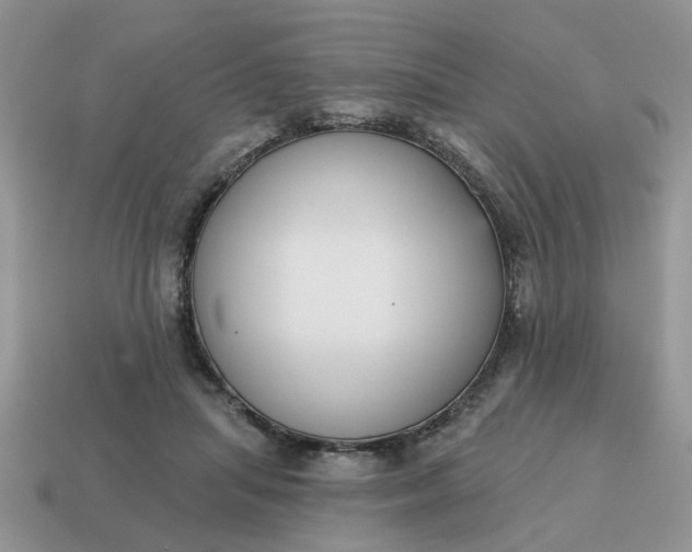 X0000115050455200911091429