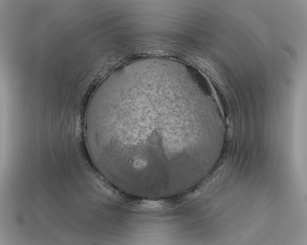 X0000115050457200911091429