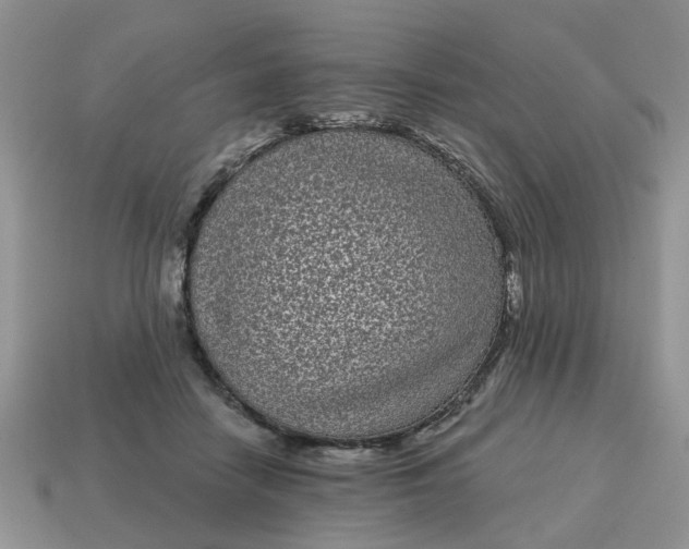 X0000115050458200911091429