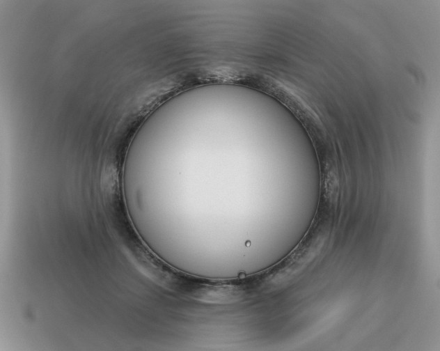 X0000115050459200911091429