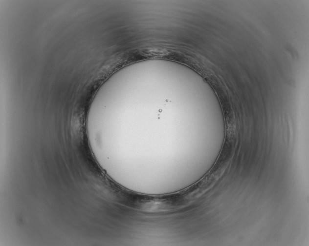 X0000115050460200911091429