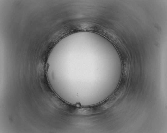 X0000115050461200911091429