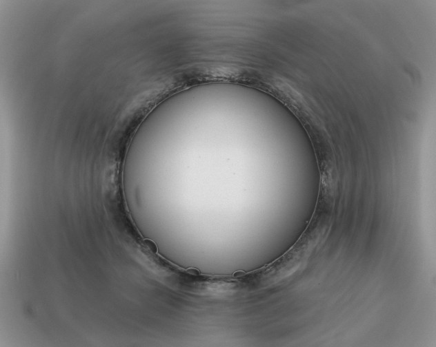 X0000115050462200911091429