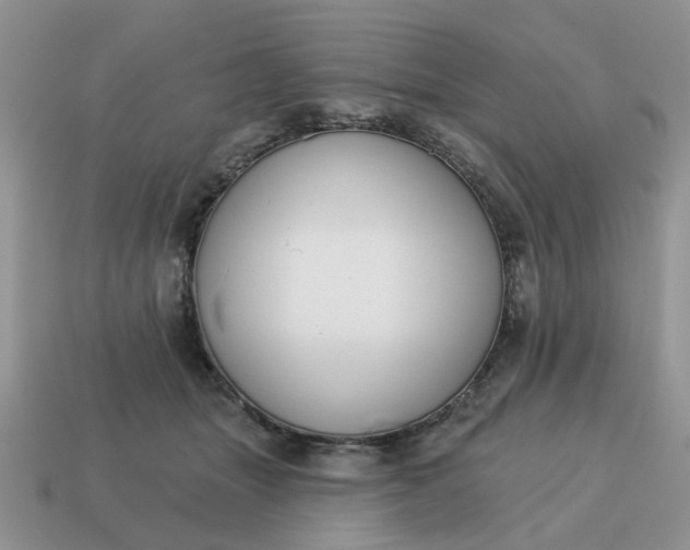 X0000115050463200911091429