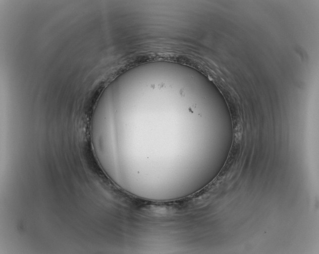 X0000115050464200911091429