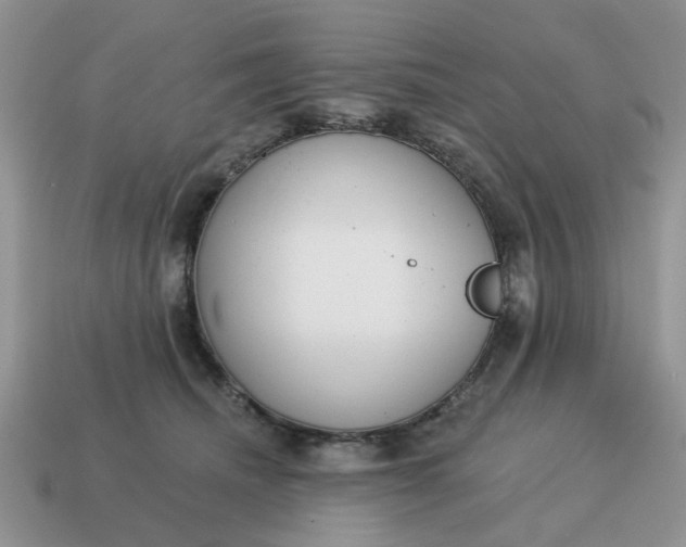 X0000115050468200911091429