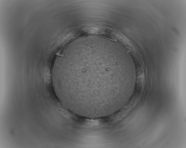 X0000115050469200911091429